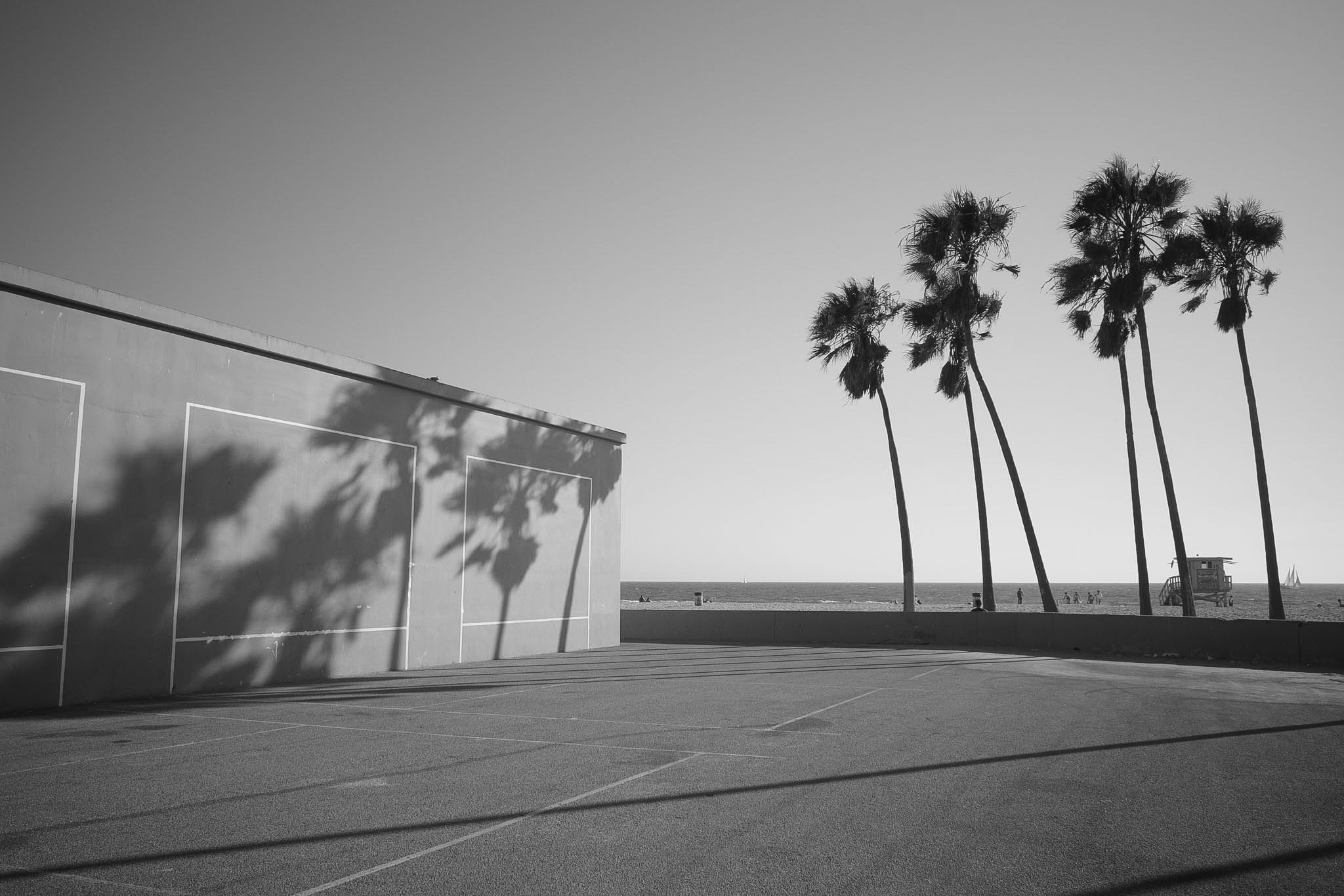 Palm tree shadows falling across a handball court at Venice Beach